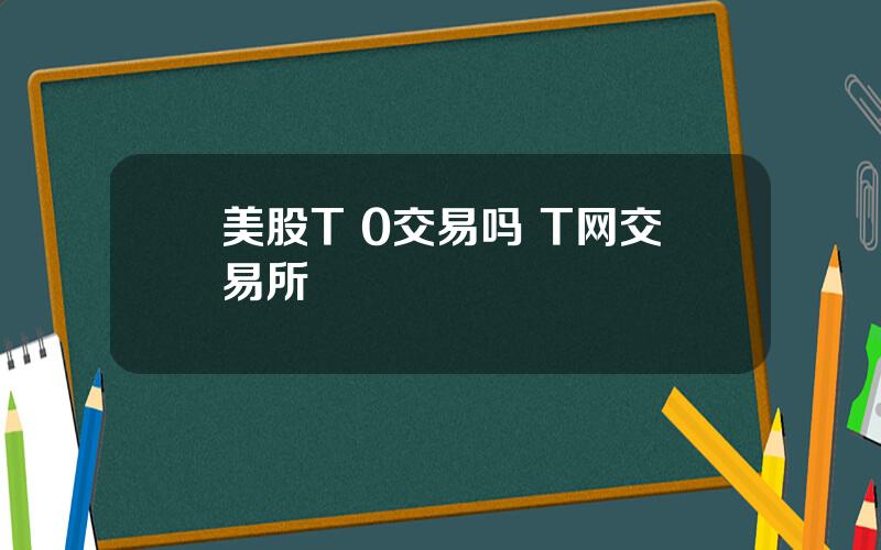 美股T 0交易吗 T网交易所